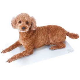 【スーパーセールP10倍】ペティオ 犬猫用マット クールアルミシートHNB L | Petio ペットマット 犬用マット 猫用マット 猫 マット 夏 ネコマット 暑さ対策 熱中症対策 ひんやり 接触冷感 お手入れ簡単 滑り止め エッジカバー付 アルマイト加工 アルミニウム 軽量