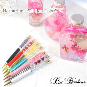 a Əj n[oE {[y 7J[ ̓ ސEj ̓ v[g Mtg  n[oE{[y vU[uht[ ޏ  j 搶 NX}X v