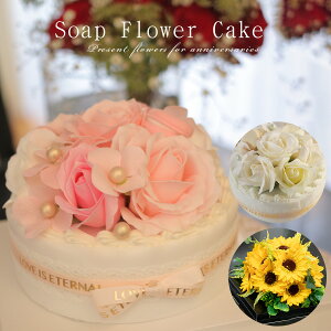 \[vt[P[L A}  \[vt[ Mtg v[g P[L   j j t[Mtg Ԃ V{t[ \[v t[ av[g P[L 