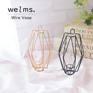 ԕr ֑} welms. Wire Vase EFX C[x[X t[x[X 2wey Ǌ|  KX ؐ Ԋ t[{g CeA i` 킢 _ Ԃ̂鐶 