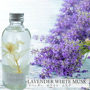 v[g CeA [tOX n[oY fBt[U[ Mtg n[oE v[g v`Mtg   j A} XN  z a [