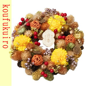 2026   ߓꃊ[X  vU[uht[ vU    hCt[ ߓ ߏ ߓ 킢  CeA  ̏o Vt