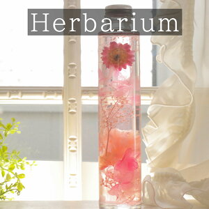 a sNn[oE ەr vU[uht[ Mtg ԃMtg v[g r {g t[ 킢  a җ Ê  Ď j JXj  A[gt