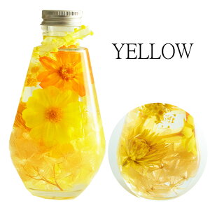 a LfB[ n[oE Mtg a v[g J[ sN CG[ u[ v[g t[ 킢  җ Ê  Ď j JXj Vzj