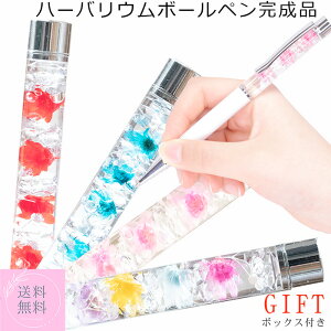 a n[oE{[y  4F v`Mtg FB ߂łƂ Mtg n[oE j 킢 av[g j {[y Ǝ 搶  җj