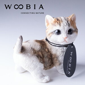 }`JqL u CeA WOOBIA Lbg E[rA  Ȃlׂ v[g NX}X a av hbNu JCC qL u ʂ 