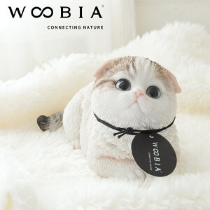 ႪރXReBbVtH[hqL u CeA WOOBIA Lbg E[rA  Ȃlׂ v[g NX}X a av Lbgu JCC qL 