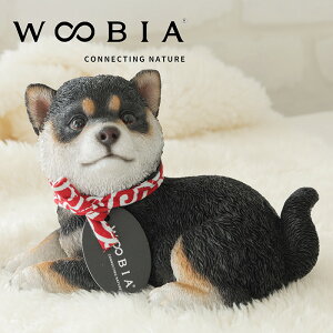 Ό  Ȃlׂ v[g NX}X a av hbNu JCC Č u ʂ u q D ybg Ƒ