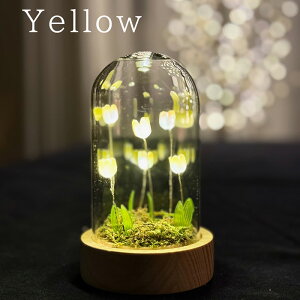 CeALEDCg LUMO `[bv KXh[S sN CG[ `[bvKXh[ Cg IV Ă zj v[g Tulip Glass Dome `[bv
