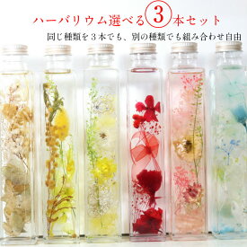 楽天市場 ハーバリウム 種類 植物 レモン 花 観葉植物 花 ガーデン Diy の通販