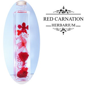 n[oE pr v[g Mtg   30 40 50 60 搶 CeA t[Mtg j  G u J[l[V  j ސEj Fl z