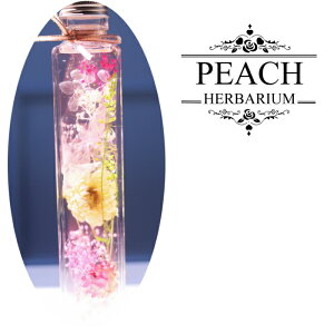 n[oE pr v[g Mtg   30 40 50 60 搶 CeA t[Mtg j  G u J[l[V  j ސEj Fl z