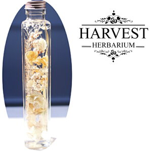 n[oE pr v[g Mtg   30 40 50 60 搶 CeA t[Mtg j  G u J[l[V  j ސEj Fl z