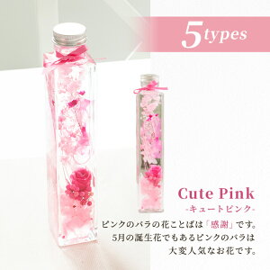 a n[oE sN vU[uht[ Mtg ԃMtg v[g r {g t[ 킢  a җ Ê  Ď j JXj  A[gt[ 