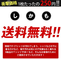 訳あって。。日本製ホワイトTシャツ★紳士M-LL着用に何の問題もないのですが・・・イレギュラー商品なので・・・【メール便一通ずつで送料無料】2枚セット、ワンコインで!救ってあげて下さい。