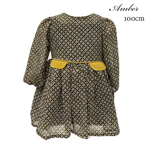 s[X ̎q  ~ 100 ꂢ LbY q Ao[ AMBER sAm\ pjG t 킢 ubN  t[ fUC ؍ q x1x