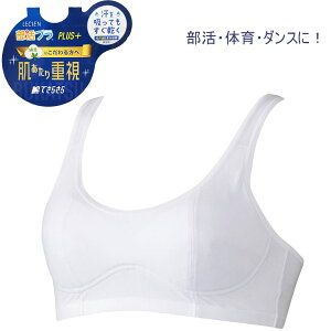 X|[cu WjA n[tgbv u PLUS+ Ȃł炳 WjA K[Y n zCg  Vv q w w  ̈ _X X|[c A_[EGA