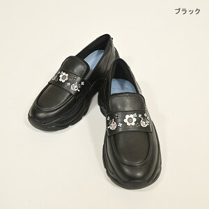 I{u OLEBOREBLA Ԃ ~Vhイ XyA\[t [t@[ Xj[J[ 2025~ ubN Vo[