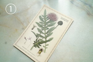 le Grand Chemin OV} t[J[h ԃ`[t |XgJ[h ^[ g AeB[N 莆 Xe[Vi[ {^jJ A} ty^[pbNCg\z