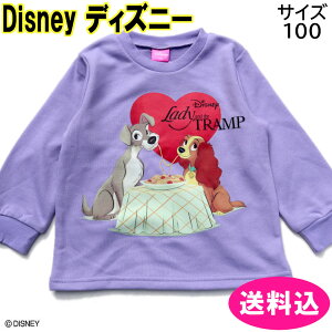 Disney fBYj[ 񕨌 g[i[ TCYF100 p[v fB gv