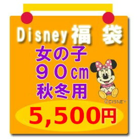 福袋 ディズニー ベビー ・ 子供服 Disney サイズ90 【福袋5】 女の子用 ミニー ミニーマウス ほか（レターパック不可）