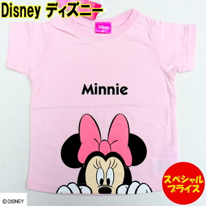Disney@fBYj[ q@TVc@ ~j[@sN@(TCYF80.90.95) @221101018C