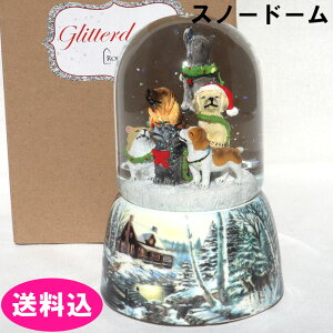 Roman nEOps[ ~[WJ Xm[h[ 135804 IS[