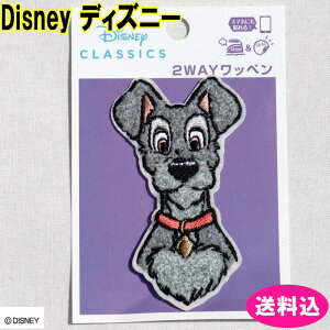 Disney fBYj[@fBYj[NVbNX@2WAYby@񕨌 gv @D01Y3300