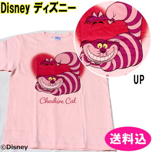 Disney fBYj[ AX n[g TVc LTCY  `FVL sN DS5901 ӂ̍̃AX