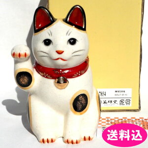 tq@ʁ@eԁ@L@Eグ @16cm@ԁ@{@7854@^