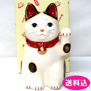 tq@ʁ@eԏL@eԁ@L@グ@ԁ@@16cm@{@7855