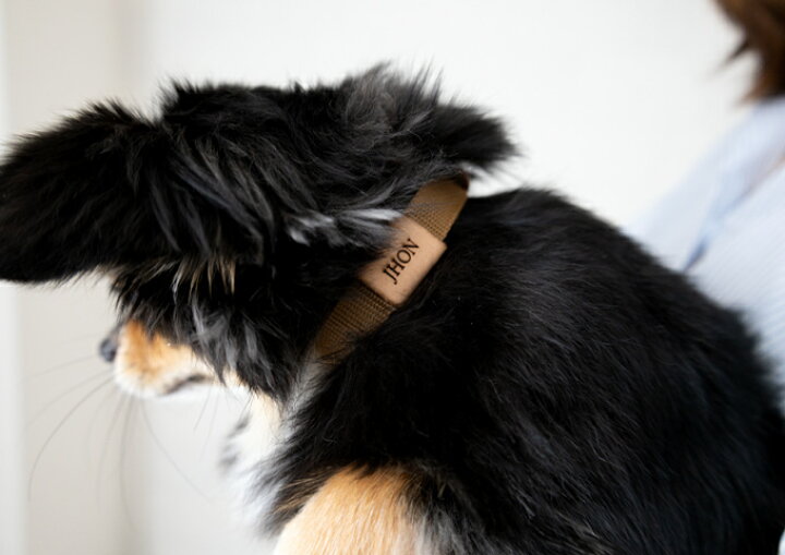 楽天市場 お名前無料刺繍 送料無料 リード 首輪 セット 犬 犬用 小型犬 中型犬 お出かけ 散歩 名入れ 刺繍 犬の首輪 おしゃれ かわいい シンプル ファッションリード プレゼント ギフト 日本製 Drk ママ ベビーのお店 ファムベリー