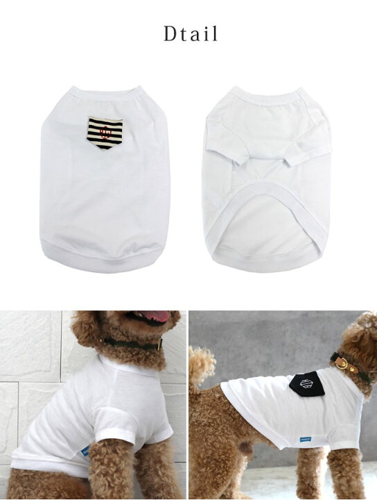 楽天市場 ドッグ用tシャツ単品 犬とお揃い 名入れ Tシャツ お揃いコーデ 犬 犬服 刺繍 小型犬 中型犬 メンズ レディース 子供服 ベビー服 プレゼント ギフト ネコポス配送ok M便 4 5 Ist ママ ベビーのお店 ファムベリー