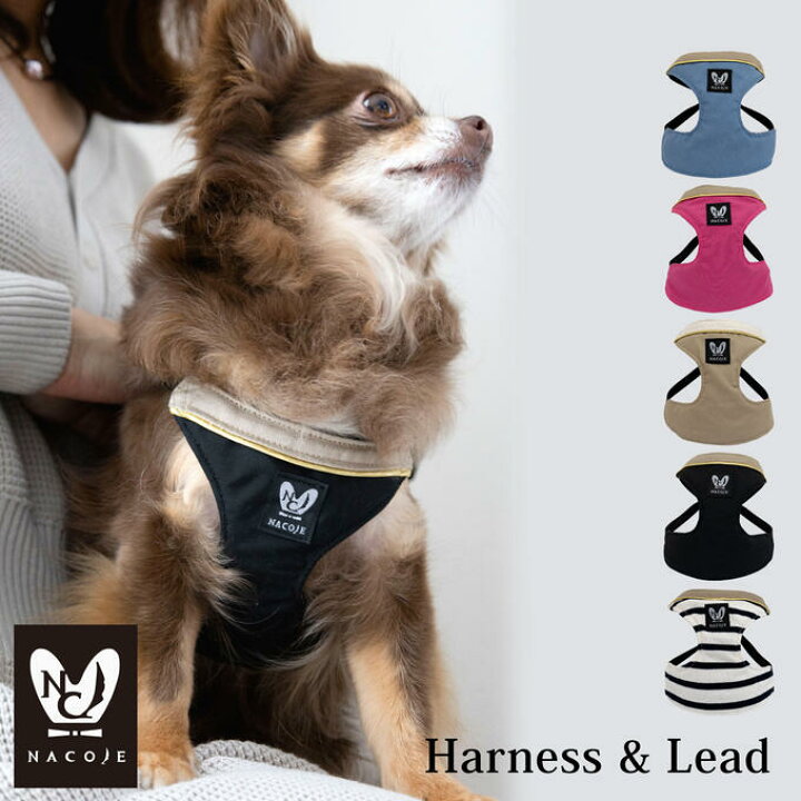 楽天市場 日本製 犬 犬用 ハーネス リードセット シンプル 上品 おしゃれ 犬具 胴輪 小型犬 お散歩 装着簡単 ファッションリード ハーネスリード かわいい ネコポスok Nhns ママ ベビーのお店 ファムベリー 楽天市場 日本製 犬 犬用 ハーネス リードセット シンプル 上品 おしゃれ 犬具 胴輪 小型犬 お散歩 装着簡単 ファッションリード ハーネスリード かわいい ネコポスok Nhns ママ ベビーのお店 ファムベリー