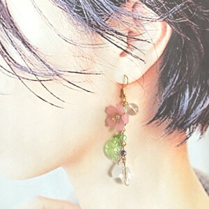 fB[X@sAX@CO@h@@t@a@sN@Ԃт@ԁ@tρ@y@T[WJXeX@AM[Ή@@l@Mtg@v[g@v