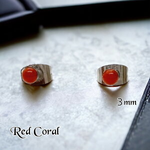 sAX@bhR[@ꗱ@3mm@ ܂Ȃ@fB[X@J{V@@T[WJXeX@AM[Ή@VR΁@X@TS@Vv@ԁ@Y @