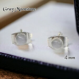 sAX@O[[Xg[@ꗱ@4mm J{V@T[WJXeX@AM[Ή@fB[X@@v[g@6a΁@K^@A@ǉ@o@