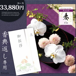 TԂ J^OMtg ty33880~R[Xzu  l\ 49 T @ @v e{ Au Âё Ñ ܏\ 䈥A 䈥A ei o ԗ Ԃ A bsO 