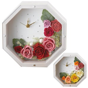 LOLY zCg vU[uht[ CG[ bh  Mtg t[AWg t[Mtg t[{bNX 蕨 v[g ̓ v ̂ bZ[WJ[h 