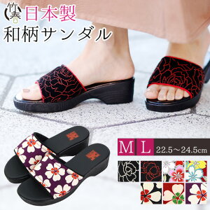 aT_ fB[X { ؖڒ ` ԕ Ղ ₷ ʕ E^ a T_ (msg-59941-59911)  a  o KN Xbp  q[  i 蕨 