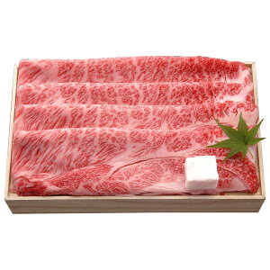 琬 ߍ] ߍ][XĂp SEN-161 4821-145 uh [X Ă Ăp   ̂ Mtg 蕨 O  ăMtg ̓ ̓  hV̓ 