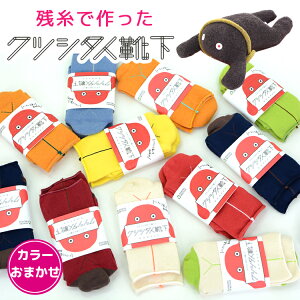  c ^I o c\bNX Y { 22`24cm fB[X C  N[ M[ V[g Xj[J[ SnQ ȍ J[\bNX  Jt