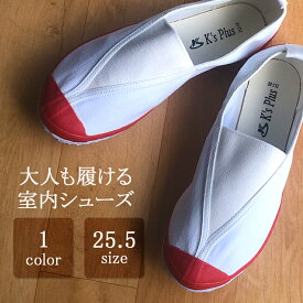 上履き 体育館 シューズ 靴 子供 大人 レディース メンズ 体育館シューズ (kh-18999-RED) 学校 仕事 室内履き スクール シューズ うわばき 大きいサイズ 上靴 無地 甲幅広で履きやすい、様々な場面で使える上履き！ [宅配B]【送料無料】【翌日配送対応】