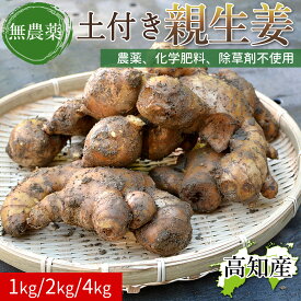 【窪川産直】 無農薬 親生姜 しょうが 生姜 1kg 2kg 4kg 大生姜 四万十生姜 高知産 国産 四万十町 窪川 ショウガ 1キロ 高知県産 農薬不使用 除草剤不使用 無農薬栽培 農家直送 高知生姜 自宅用 業務用 四万十町産 健康食品 自然食品 [チルド便]【送料無料】[ヤマト発送]