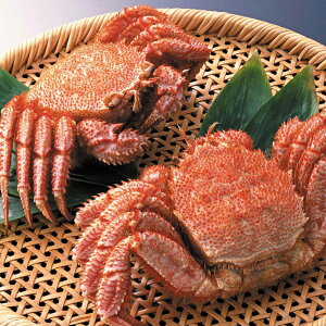 網走水産 北海道産 毛がに2尾セット APID-027 4826-474 毛蟹 かに カニ ボイル ギフト のし無料 内祝い 贈り物 お取り寄せグルメ 産直 お中元 夏ギフト 父の日 母の日 暑中見舞い 敬老の日 お歳暮