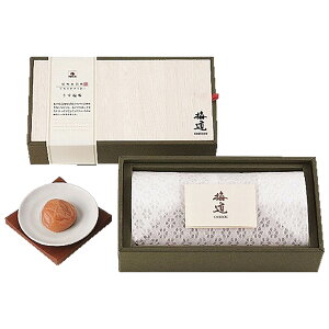 cHi ~ IB썂~  500g 255 4829-216 ~ ~ Mtg ̂ j 蕨 񂹃O Y  ăMtg ̓ ̓  hV̓ Ε N H