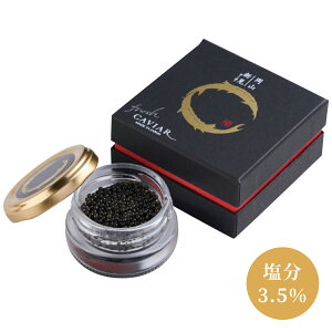 L VtbVLrA1r 3.5 4007-012 Mtg LrA CNZbg  rl lߍ킹 MtgZbg j Ε  A hV̓ jԂ TԂ @ o