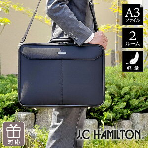 Tt \tgA^bVP[X { L A3 Y  V_[ rWlXobO  e 傫 y [ |Pbg ʋ o Vv n  J.C HAMILTON 2 u[