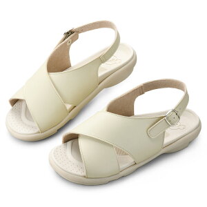 Qb^ T_ cH 2ball NXxg fB[X { T_ yĉK 3E RtH[gV[Y obNXgbv Ōt m ۈm  ₷ ₷