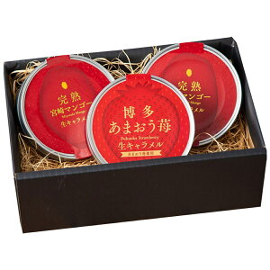 ܂䕁{芮n}S[ Ll(3708-35) 4824-040 ̂ mَq Mtg j 蕨 XC[c Y  ăMtg  Ε N Hi  v[g a